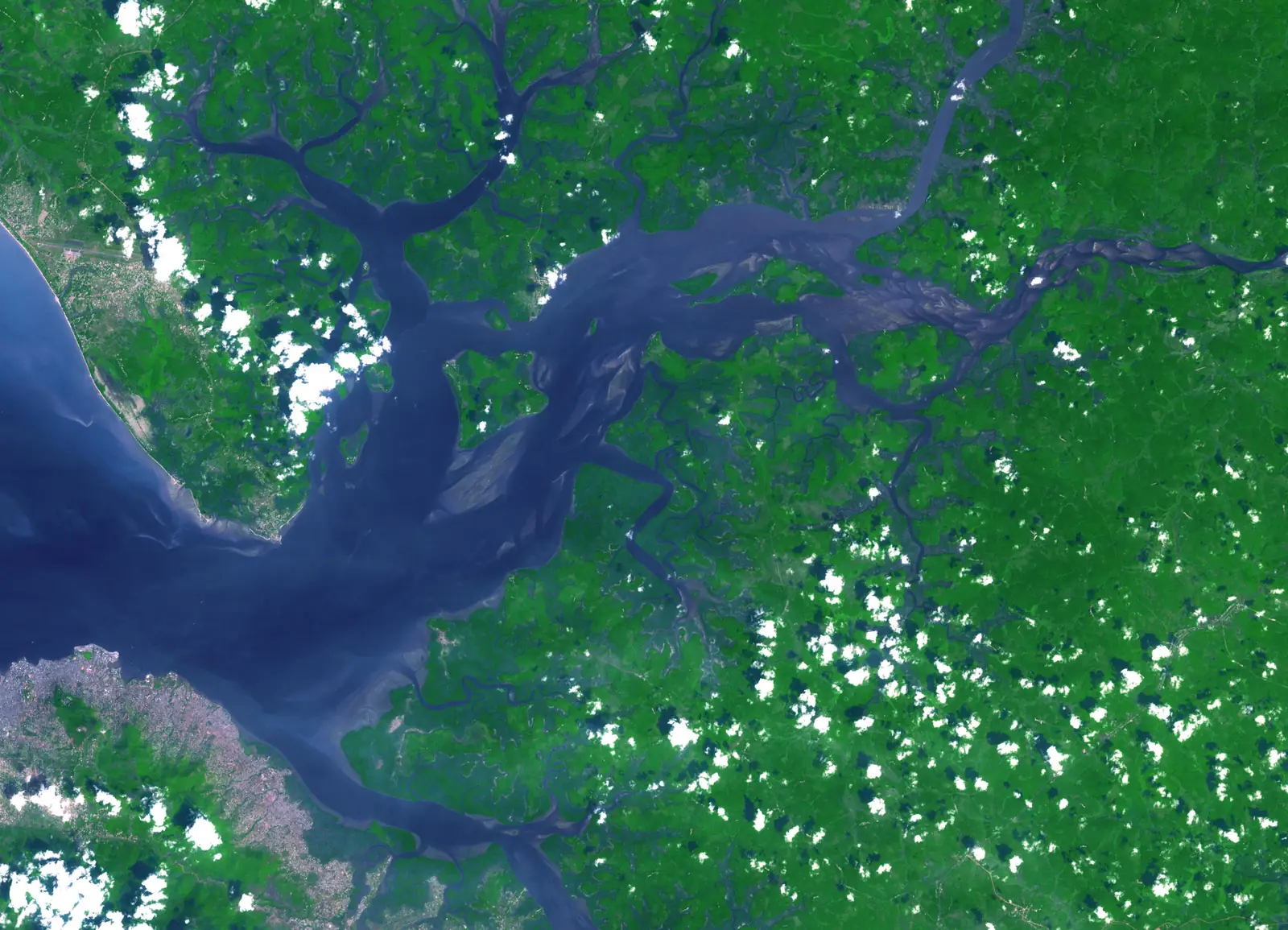 El estuario del río Sierra Leona cerca de Freetown visto desde un satélite, con bosque verde y canales de manglar